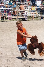 Trenton Burland, of Ronan, holds tight to his chicken during the chicken scramble.