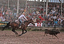 Becky Jo Dumont, of Charlo, hauls in a calf during the Ladies Breakaway event of the Pioneer Days rodeo last weekend in Ronan.