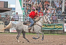 Levi Walchuk, of Ronan, bears down on a calf during the Pioneer Days rodeo last weekend in Ronan.