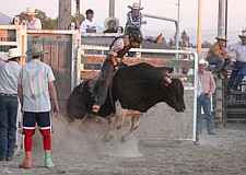 Patrick Big Sam, of Arlee, rides the bull out of the chute during Pioneer Days last weekend in Ronan.