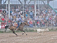 Colt Nagy tries to rope in a calf during the Pioneers Day rodeo last weekend in Ronan.