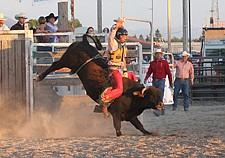 Gus McDonald, of Ronan, rides the bull of the chute during the Pioneer Days rodeo last weekend in Ronan.