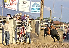 Trae Garcia, of Ronan, rides a miniature bull during the Pioneer Days rodeo last weekend in Ronan.