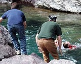 Child saved from drowning in Glacier