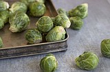 Most picky eating harmless but it can signal emotional woes