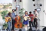 Bluegrass festival offers music, workshops