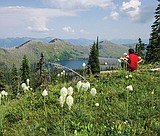State report looks at federal lands transfer