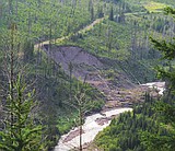 Forest officials say road did not cause slump