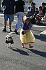 Dog parade expected to attract more than 50