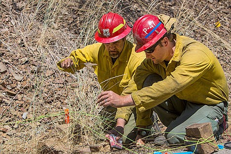 &lt;p&gt;United States Forest Service members Brian Wilson, left, helps Matt Engbring investigate the area where the brush fire was believed to have started on Wednesday, on Fernan Lake Road. The fire burned roughly three and a half acres of brush, and no property damage was reported.&lt;/p&gt;