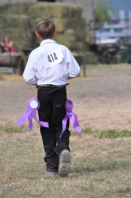 &lt;p&gt;This future cattleman leaves the fair with some serious purple for his Grand Champion bovine breeding stock.&lt;/p&gt;