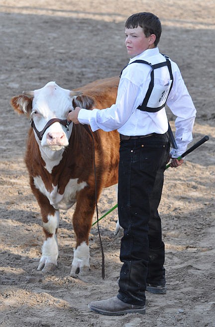 &lt;p&gt;Philip Vaughan with his hereford mini.&lt;/p&gt;