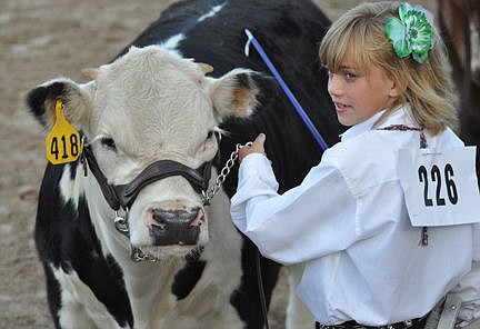 &lt;p&gt;Madison Evelo shows her mini during the novice showmanship round.&lt;/p&gt;