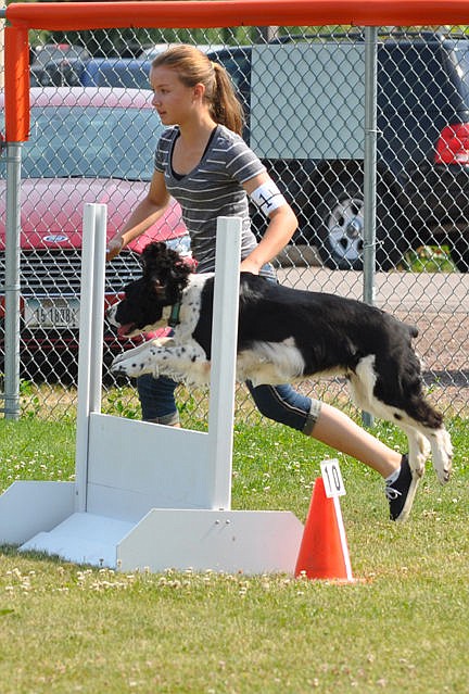 &lt;p&gt;Jenna McGuiness and her Springer Spaniel excelled in the open class agility event.&lt;/p&gt;