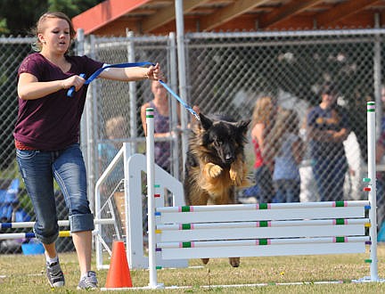 &lt;p&gt;Jordon Croft jumps her German Shepherd over a gate during an agility event.&lt;/p&gt;