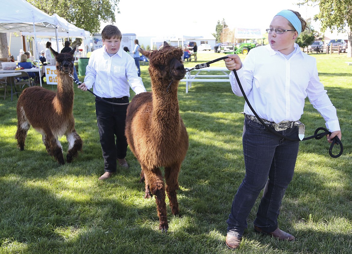 &lt;p&gt;Shelby and Bowen Tryon show their animals at the Lake County Fair last Wednesday in Ronan.&lt;/p&gt;