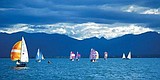 Ideal conditions at annual Montana Cup races