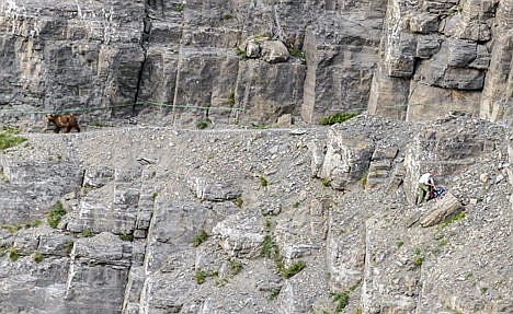 &lt;p&gt;An unidentified hiker, right, crouching under a rock as grizzly bear passes him on the steep and narrow Highline Trail in Glacier National Park in Montana. The photographer who observed the near encounter, Philip Granrud, said it was the only part of the trail where the hiker could climb down to avoid the bear. An unidentified hiker, right, crouching under a rock as grizzly bear passes him on the steep and narrow Highline Trail in Glacier National Park in Montana. The photographer who observed the near encounter, Philip Granrud, said it was the only part of the trail where the hiker could climb down to avoid the bear.&lt;/p&gt;