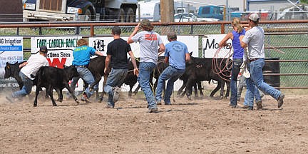 &lt;p&gt;Some tried roping while others tried tackling to catch their calves in the calf dressing contest.&lt;/p&gt;