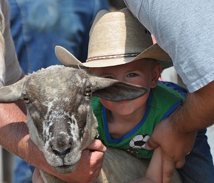 &lt;p&gt;Castiel Kamarainen, age 3, smiles nervously behind his lambs ear.&lt;/p&gt;