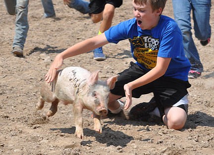 &lt;p&gt;The pig slips throug the hands of one of the contestants in the pig scramble.&lt;/p&gt;