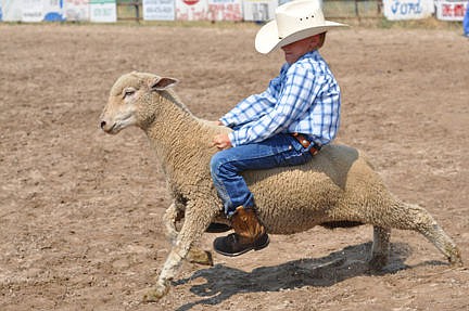 &lt;p&gt;This young cowboy shows the form of a budding bronc rider.&lt;/p&gt;