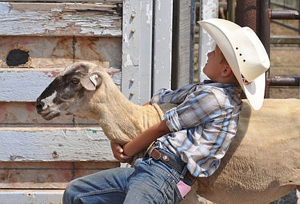 &lt;p&gt;This sheep wrangler holds the lamb steady for his cohorts to try to get the bloomers on. The lamb eventually escaped.&lt;/p&gt;