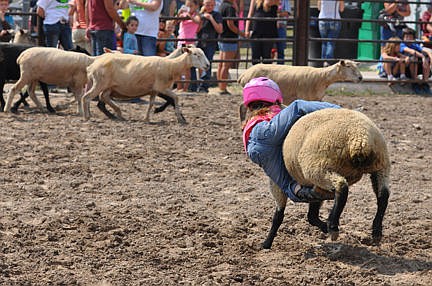 &lt;p&gt;Mackinzie Bartel uses her strong legs to stay aboard as her lamb bolts toward its friends.&lt;/p&gt;