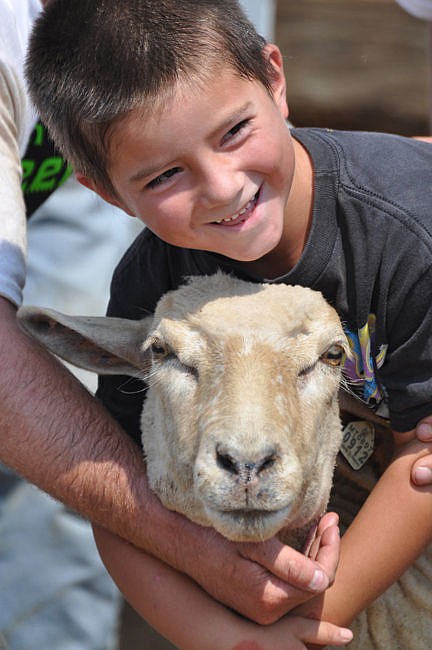 &lt;p&gt;Nathaniel Bisson grins from ear to ear with excited anticipation as his sheep appears to be contemplating how to get him off her back in the quickest fashion.&lt;/p&gt;