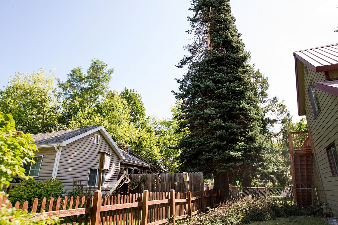 &lt;p&gt;Large pieces of a tree, which were sheared off by lightning on Sunday afternoon, damaged a home and fences on Sixth Street in Coeur d'Alene.&lt;/p&gt;