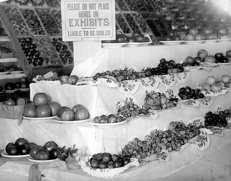 <p>Touching the prized produce on display was a no-no in bygone days, as this sign suggests.</p>