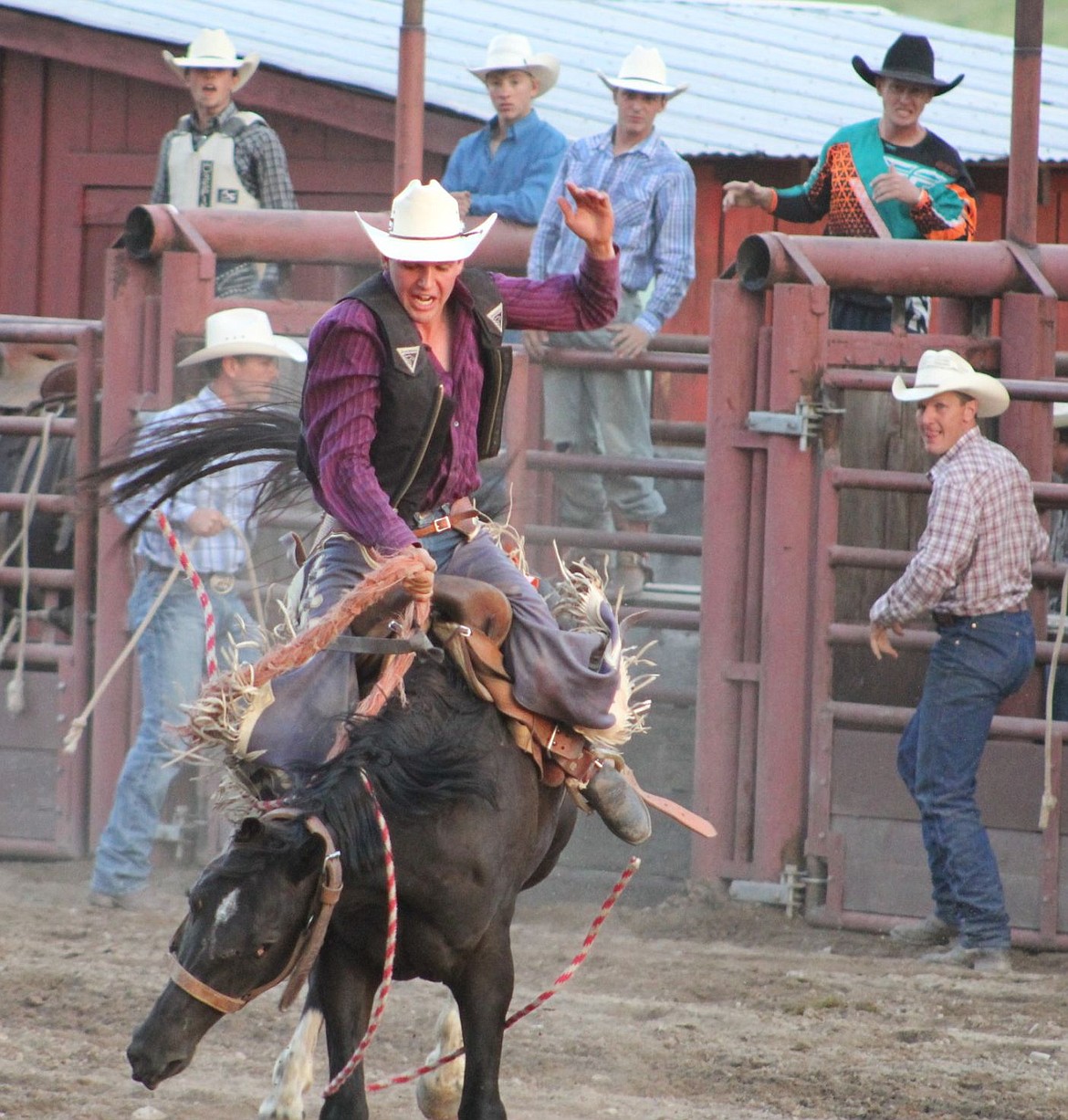 &lt;p&gt;Cole Thoreson from Dillon holds on during saddle bronc riding at the Saturday night rodeo in Superior.&lt;/p&gt;