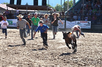 &lt;p&gt;Contestants participate in the cash cow competition on Saturday at the Ronan Fairgrounds.&lt;/p&gt;