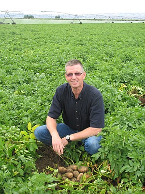 Quincy potato grower Rex Calloway crouches in one of his fields of Russett Burbank potatoes. He was recently elected to serve as a commissioner on the Washington State Potato Commission.