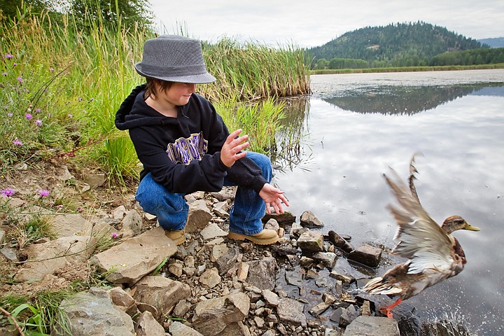 &lt;p&gt;Shea Curran, 9, releases a mallard drake into a pond adjacent to Whiteman Lumber in Cataldo Tuesday after the bird was tagged by an Idaho Fish and Wildlife technician. More than half a dozen students from nearby Canyon Elementary school were in attendance during the banding of more than 30 waterfowl.&lt;/p&gt;