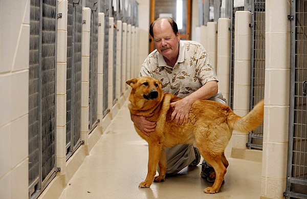 &lt;p&gt;Cliff Bennett, director of the Flathead County Animal Shelter with Rusty, a newly arrived large male German Shepherd/Chow mix available for adoption on Friday, August 10, in Kalispell. Bennett is one of the voices behind the new ad campaign to raise awareness of the county-wide license ordinance and the reasons owners should get their dogs licensed. When unlicensed dogs are taken to the Shelter they face a variety of fees: a 30 dollars impound fee, 25 dollars per day housing, a citation from the police department if brought in by the police as well as potential vet bills. Most of this can be avoided by get a vet to verify the dog is current on its rabies vaccination and paying 15 dollars for the license.&lt;/p&gt;