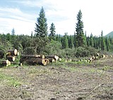 Public advised about logging projects