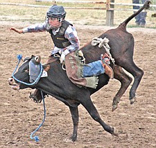 11-year old Tyler Adams rides a steer during the Southwest Youth Rodeo last Sunday in Ronan.