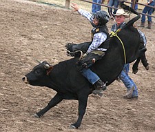 Trae Garcia, of Pablo, tries to hang on to a bull during the Southwest Youth Rodeo last Sunday in Ronan.