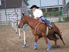 Raychel Lien, of Ronan, turns the corner on a pole during the Southwest Youth Rodeo last Sunday in Ronan.