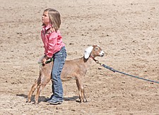 Kylie Lund, of Ronan, competes in the 7 and under goat-tying event at the Southwest Youth Rodeo last weekend in Ronan.