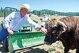 Rollins rancher breeding super-lean 'buff beef'