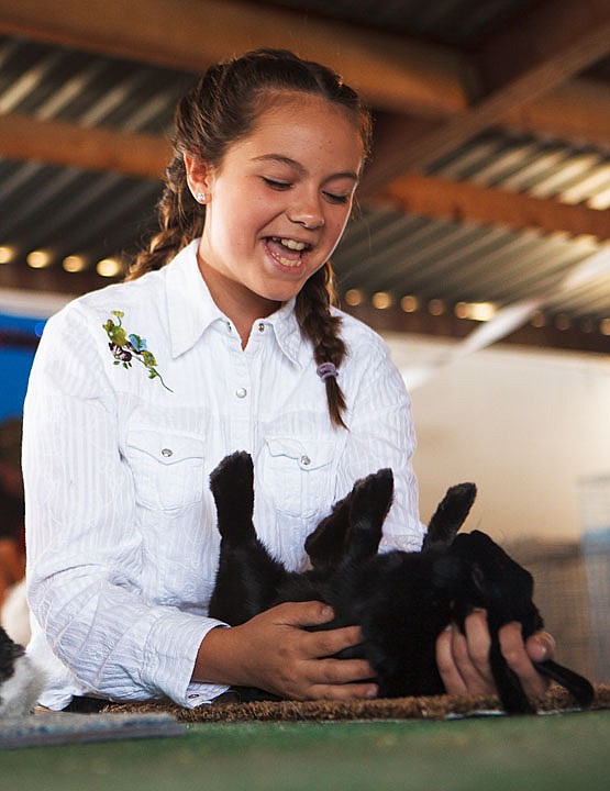 <p>Patrick Cote/Daily Inter Lake Tia Evenson laughs as she tries to control hear Havana rabbit Ebony on Monday morning during rabbit judging on the first day of the Northwest Montana Fair at the Flathead County Fairgrounds. Monday, Aug. 13, 2012 in Kalispell, Montana.</p>