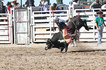 &lt;p class=&quot;p1&quot;&gt;Ronan&#146;s own Wyatt Phillips tries to keep his balance on top of a kicking bull during the mini bull competition on Sunday.&lt;/p&gt;