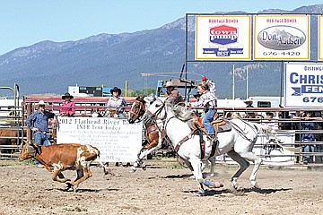 &lt;p class=&quot;p1&quot;&gt;Bucky (foreground) and Gator (background) Cheff compete in the team roping event.&lt;/p&gt;