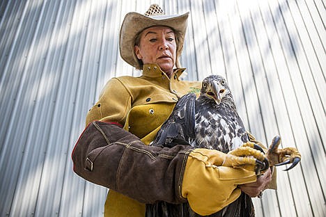 &lt;p&gt;Birds of Prey Northwest President and Executive Director Janie Veltkamp holds a three-year-old bald eagle on Wednesday at the Birds of Prey Northwest rehabilitation center.&lt;/p&gt;
