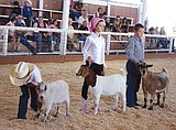 Ready for a rip-roarin' time at the Grant Co. Fair