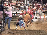 Roundup Rodeo kicks off Thursday