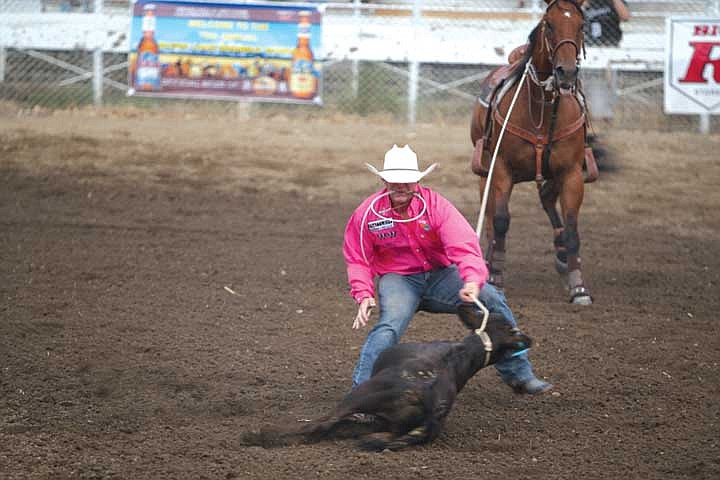 A cowboy competes in the tie down roping event at the 70th annual Moses Lake Roundup Rodeo