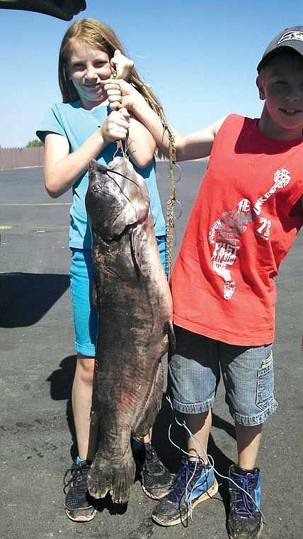 Kortney and Hunter Deaton of Great Falls Montana show a 27.2 pound Channel Catfish. This was landed in the Lind Coulee arm of Potholes Reservoir with their grandpa and great grandpa's help.